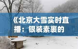 《北京大雪实时直播：银装素裹的古城美景尽收眼底》