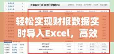 轻松实现财报数据实时导入Excel，高效办公新选择