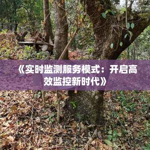 《实时监测服务模式:开启高效监控新时代》