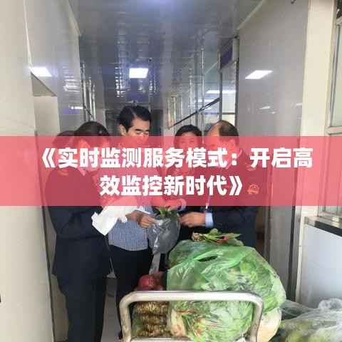 《实时监测服务模式:开启高效监控新时代》