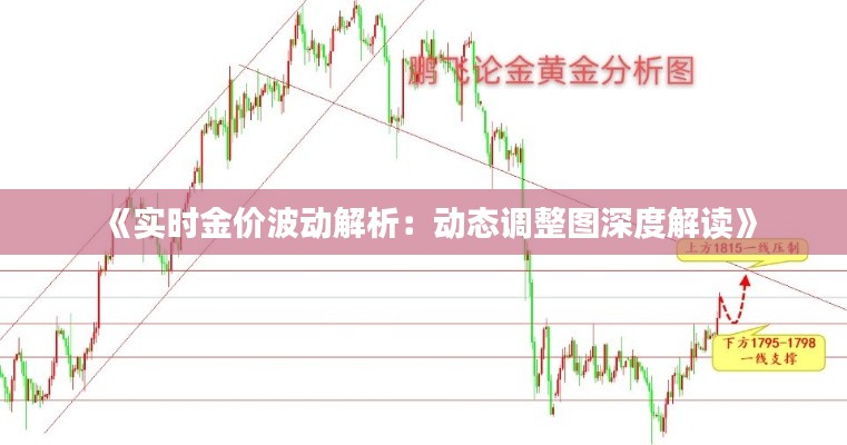 《实时金价波动解析:动态调整图深度解读》