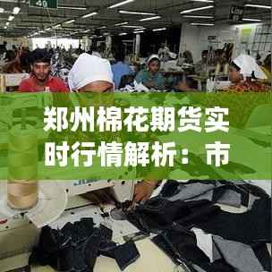 郑州棉花期货实时行情解析：市场动态与投资策略