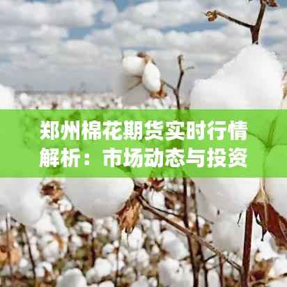 郑州棉花期货实时行情解析:市场动态与投资策略