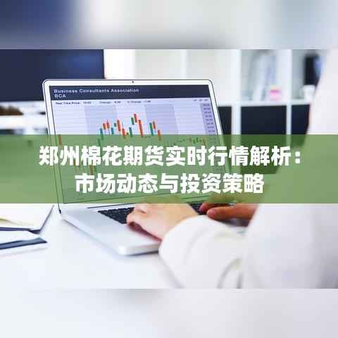 郑州棉花期货实时行情解析:市场动态与投资策略