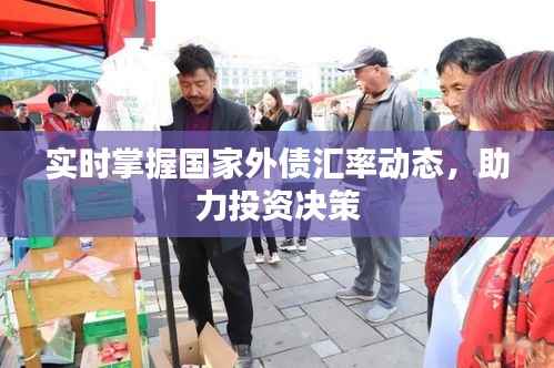 实时掌握国家外债汇率动态,助力投资决策