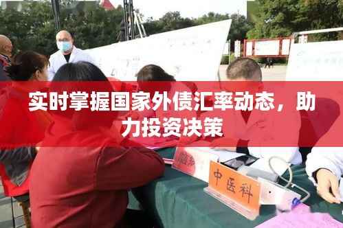 实时掌握国家外债汇率动态,助力投资决策