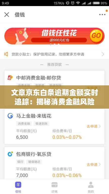 文章京东白条逾期金额实时追踪：揭秘消费金融风险