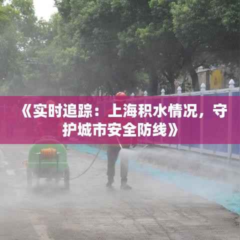 《实时追踪:上海积水情况,守护城市安全防线》