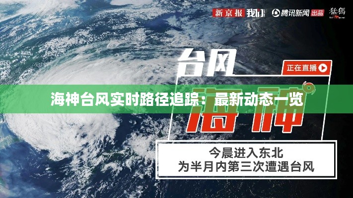 择善而从 第5页