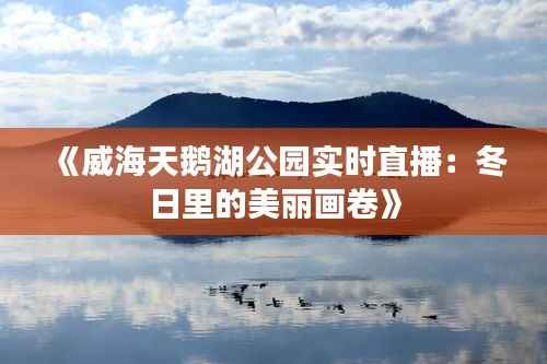《威海天鹅湖公园实时直播：冬日里的美丽画卷》