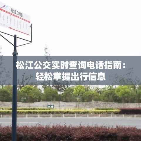 松江公交实时查询电话指南:轻松掌握出行信息