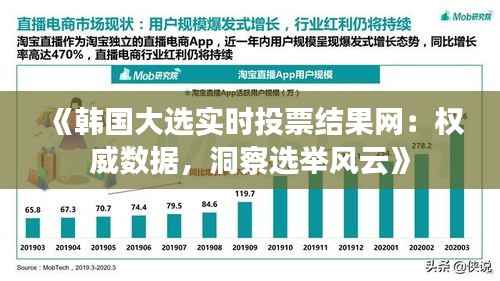 《韩国大选实时投票结果网：权威数据，洞察选举风云》