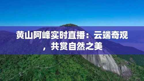 黄山阿峰实时直播:云端奇观,共赏自然之美