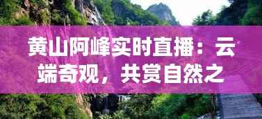 黄山阿峰实时直播:云端奇观,共赏自然之美