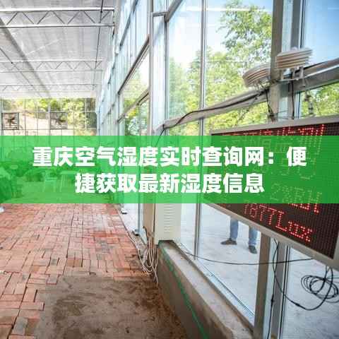 打张鸡儿 第6页