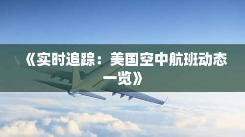 《实时追踪：美国空中航班动态一览》