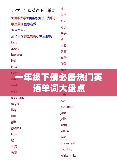 一年级下册必备热门英语单词大盘点