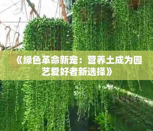 《绿色革命新宠:营养土成为园艺爱好者新选择》
