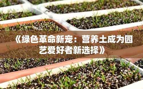 《绿色革命新宠:营养土成为园艺爱好者新选择》