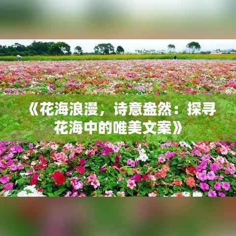 《花海浪漫,诗意盎然:探寻花海中的唯美文案》