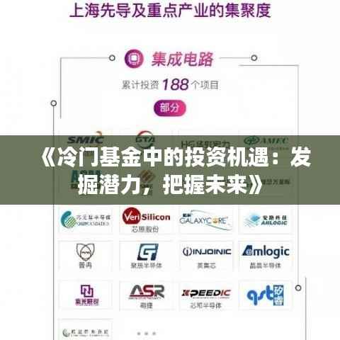 《冷门基金中的投资机遇:发掘潜力,把握未来》