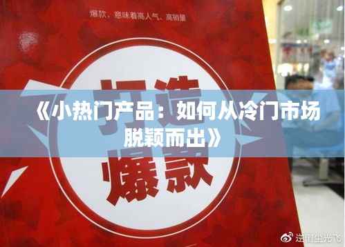 《小热门产品：如何从冷门市场脱颖而出》