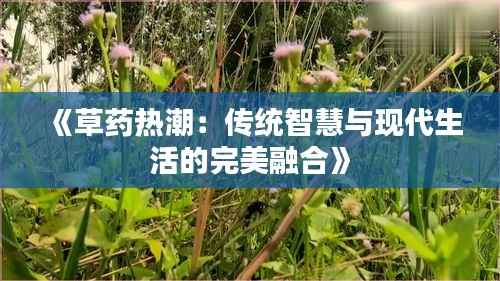 《草药热潮:传统智慧与现代生活的完美融合》
