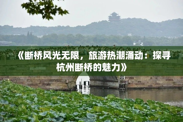 《断桥风光无限,旅游热潮涌动:探寻杭州断桥的魅力》