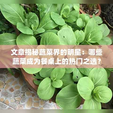 文章揭秘蔬菜界的明星:哪些蔬菜成为餐桌上的热门之选?