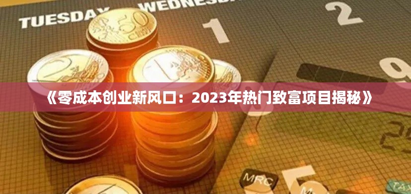 《零成本创业新风口:2023年热门致富项目揭秘》