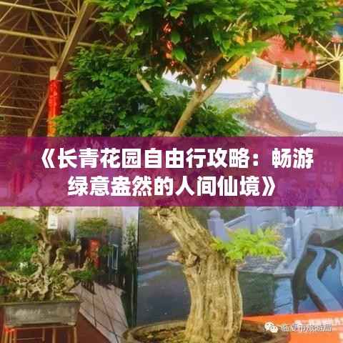 《长青花园自由行攻略:畅游绿意盎然的人间仙境》