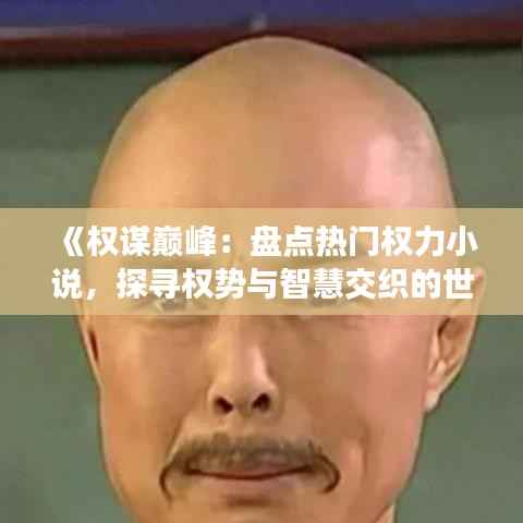 《权谋巅峰:盘点热门权力小说,探寻权势与智慧交织的世界》