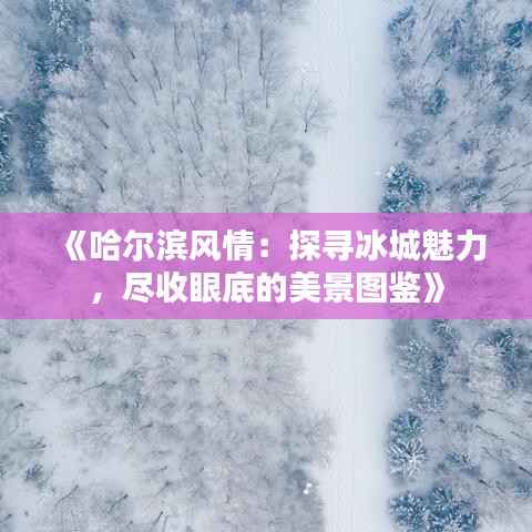 《哈尔滨风情:探寻冰城魅力,尽收眼底的美景图鉴》