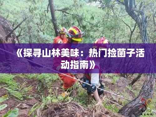 《探寻山林美味：热门捡菌子活动指南》
