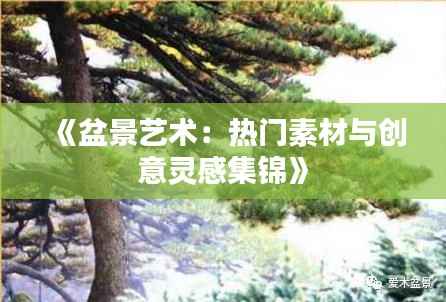《盆景艺术:热门素材与创意灵感集锦》