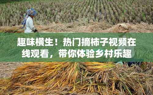 趣味横生!热门摘柿子视频在线观看,带你体验乡村乐趣