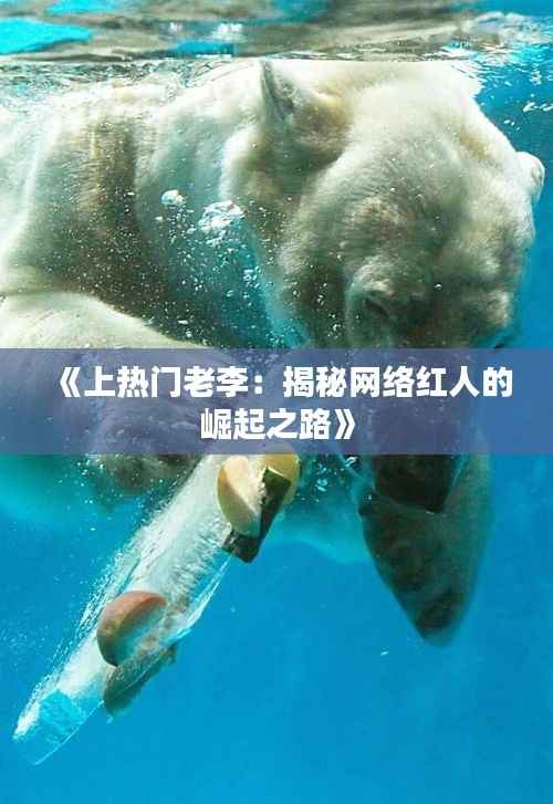 《上热门老李:揭秘网络红人的崛起之路》