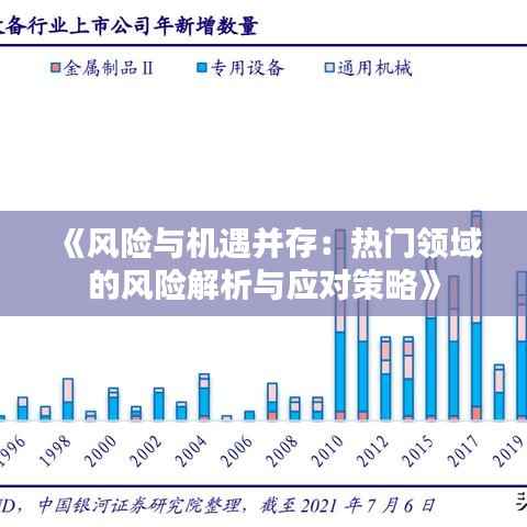 《风险与机遇并存:热门领域的风险解析与应对策略》