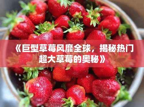 《巨型草莓风靡全球,揭秘热门超大草莓的奥秘》