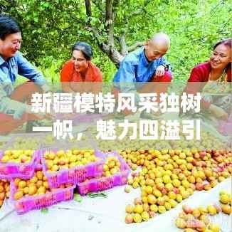 新疆模特风采独树一帜,魅力四溢引领时尚潮流