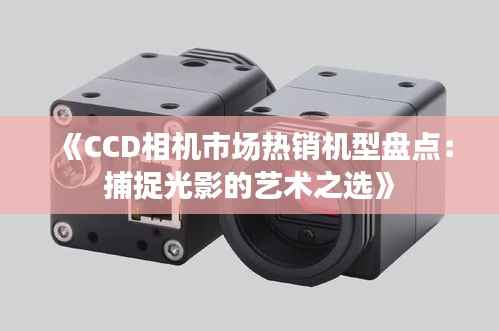 《CCD相机市场热销机型盘点:捕捉光影的艺术之选》