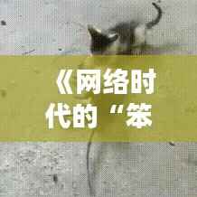 《网络时代的“笨蛋热门”:流量背后的思考与反思》