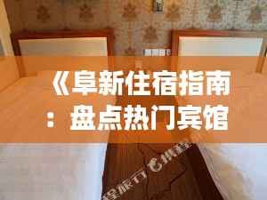 《阜新住宿指南:盘点热门宾馆,体验舒适之旅》