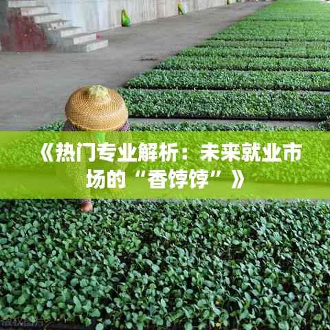 《热门专业解析:未来就业市场的“香饽饽”》