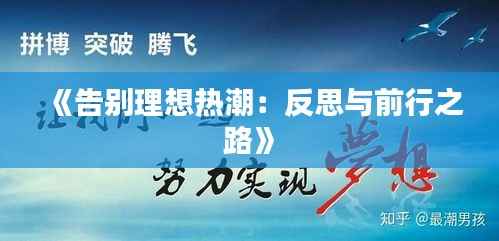 《告别理想热潮:反思与前行之路》