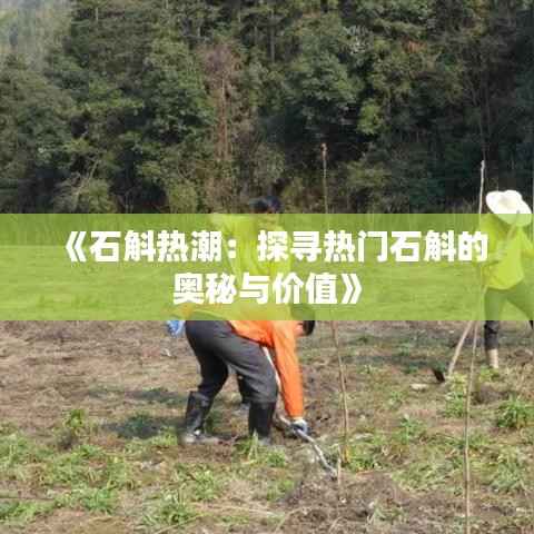 《石斛热潮:探寻热门石斛的奥秘与价值》