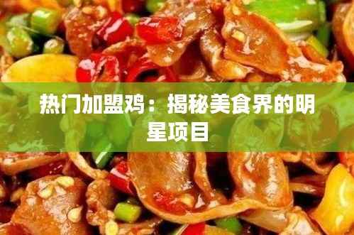 热门加盟鸡：揭秘美食界的明星项目