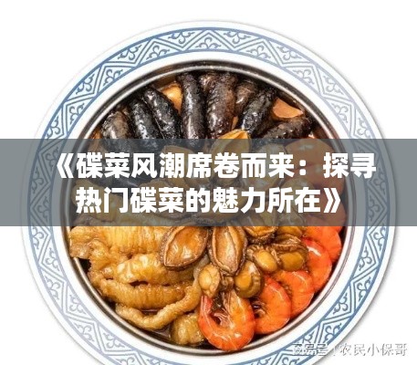 《碟菜风潮席卷而来:探寻热门碟菜的魅力所在》