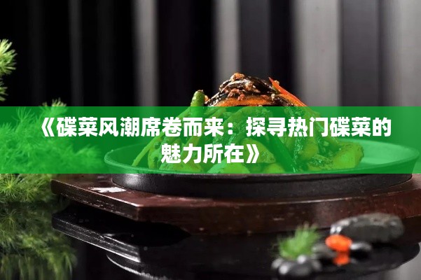 《碟菜风潮席卷而来:探寻热门碟菜的魅力所在》