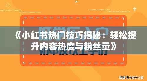 《小红书热门技巧揭秘:轻松提升内容热度与粉丝量》